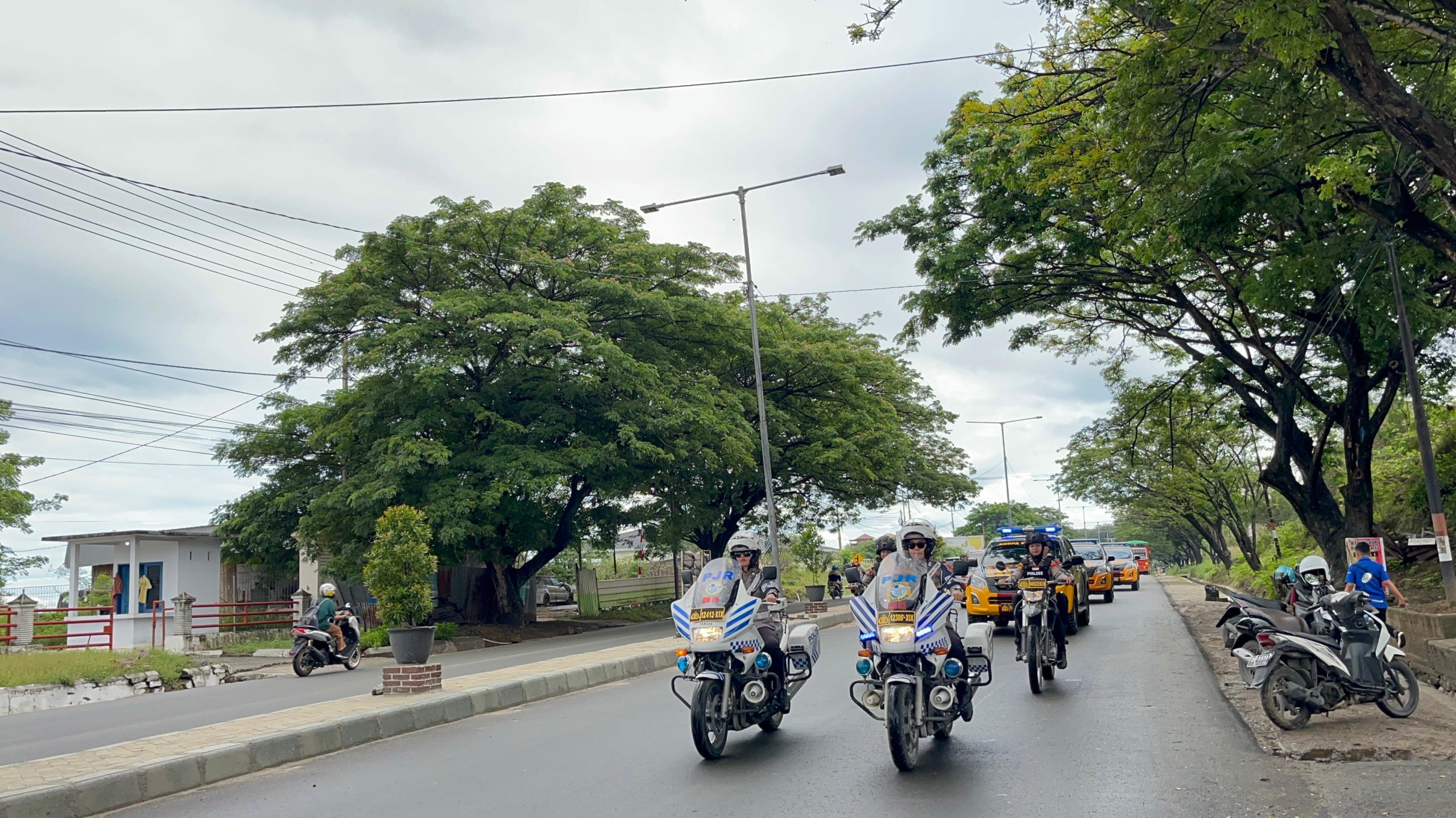 Polwan Polda Sulteng Gelar Aksi Gatur Lalin serta Bagikan Bunga, Cokelat dan Helm Gratis
