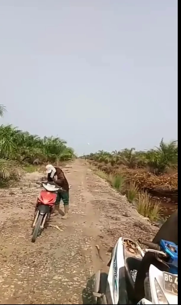 SUARA MASYARAKAT BERTAMBAH TERJERIT ULAH PIHAK PRUSAHAAN YANG TIDAK BERTANGGUNG JAWAB,MASYARAKAT PRIBUMI MENJADI KORBAN KESERAHKAHAN,MAFIA TANAH BERTAMBAH MERAJA RELA