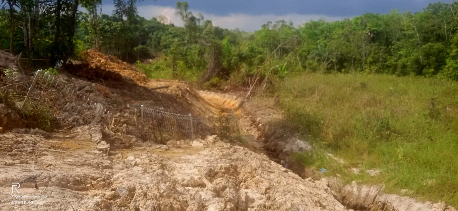 TAMBANG PT BDA, SEBARKAN LIMBAH HINGGA MEMATIKAN TANAMAN WARGA
