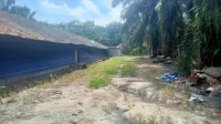 IMG-20241005-WA0036