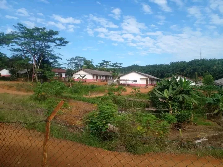 Sengketa Tanah Adat di Tumbang Puroh Di Rampas Dan Penyerobotan Oleh PT. Susantri Permai untuk pembangunan Base Camp. Dihel menuntut Keadilan