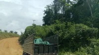 IMG-20241018-WA0059