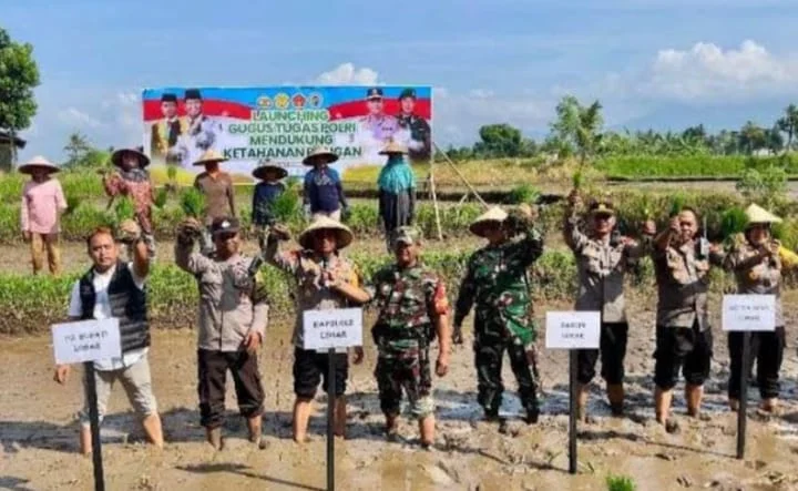 Presiden RI Prabowo Subianto Harus Kontrol Manfaat Penanaman Ketahanan Pangan Di Lahan Yang Menjadi Programnya