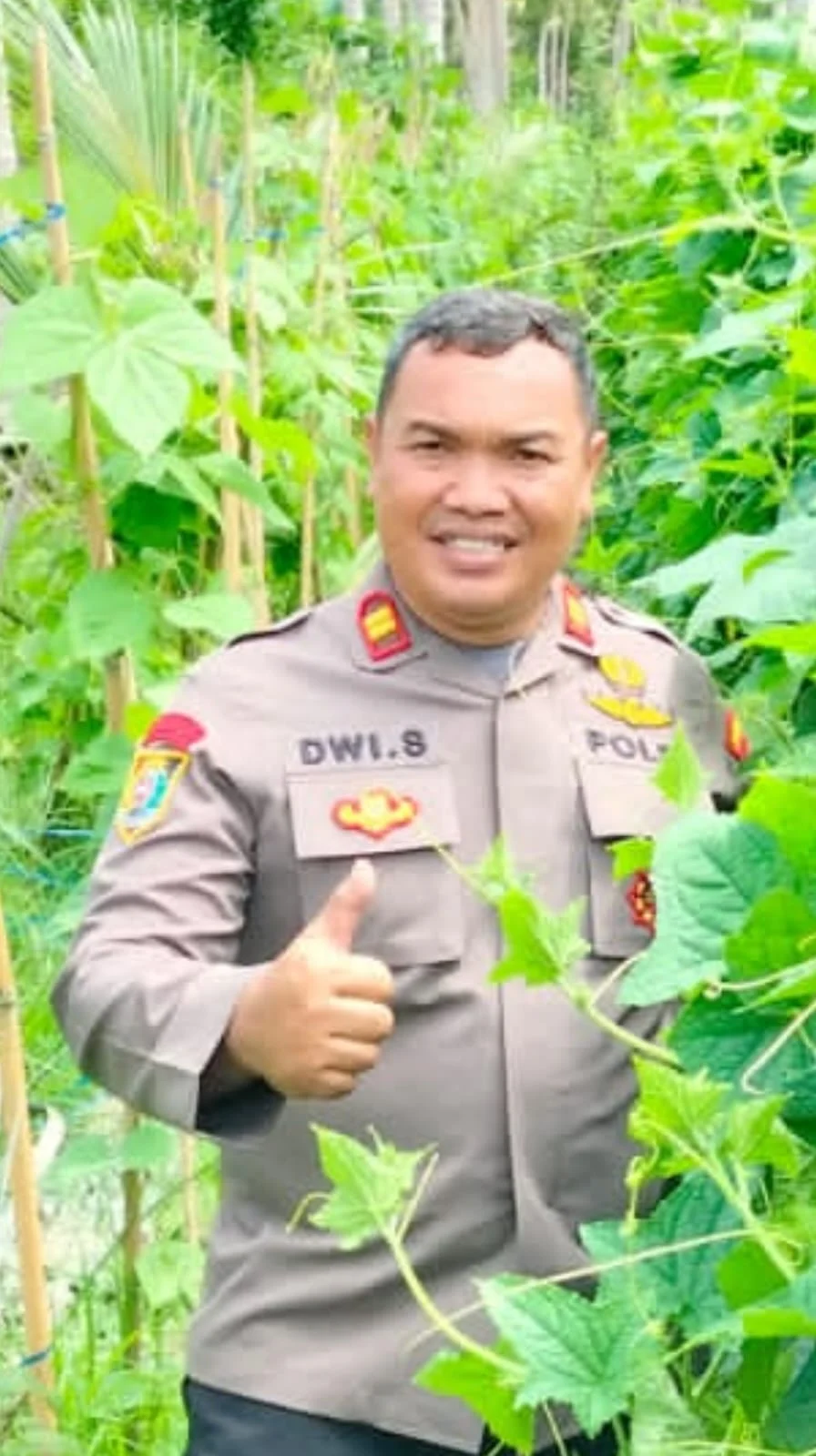 Kapolsek Sirenja Iptu Dwi Suhartoyo, SH, Melakukan  Giat Sambang Petani Buah - Buahan Di Desa Tondo , Guna Persiapan Cukupi Kebutuhan SPPG POLRI - Kec. Sireja, Kabupaten Donggala