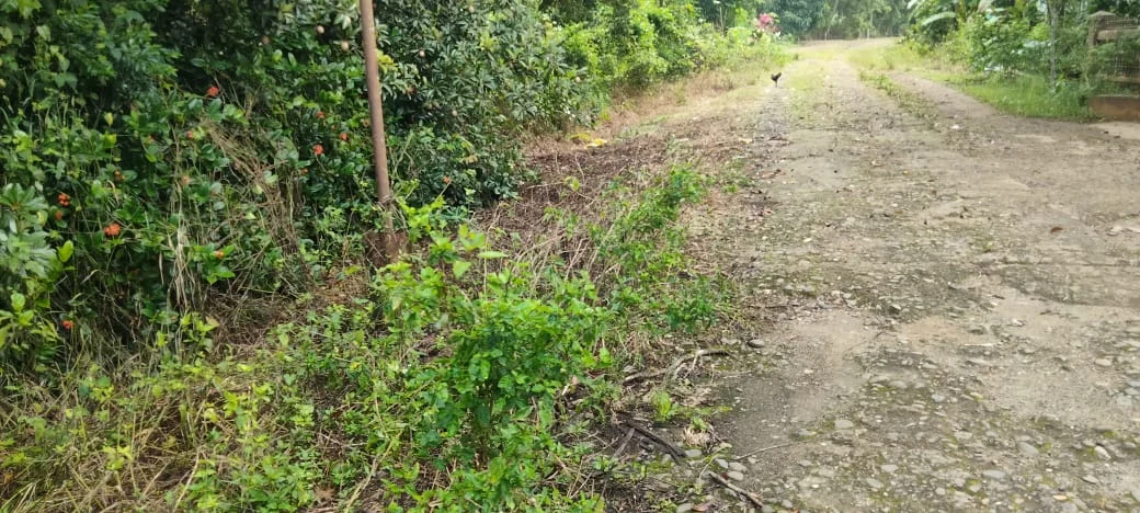 Akses Jalan Terabaikan, Warga Sungayang Sadio Pertanyakan Keseriusan Pemerintah