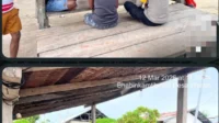 Screenshot_20260313-120246