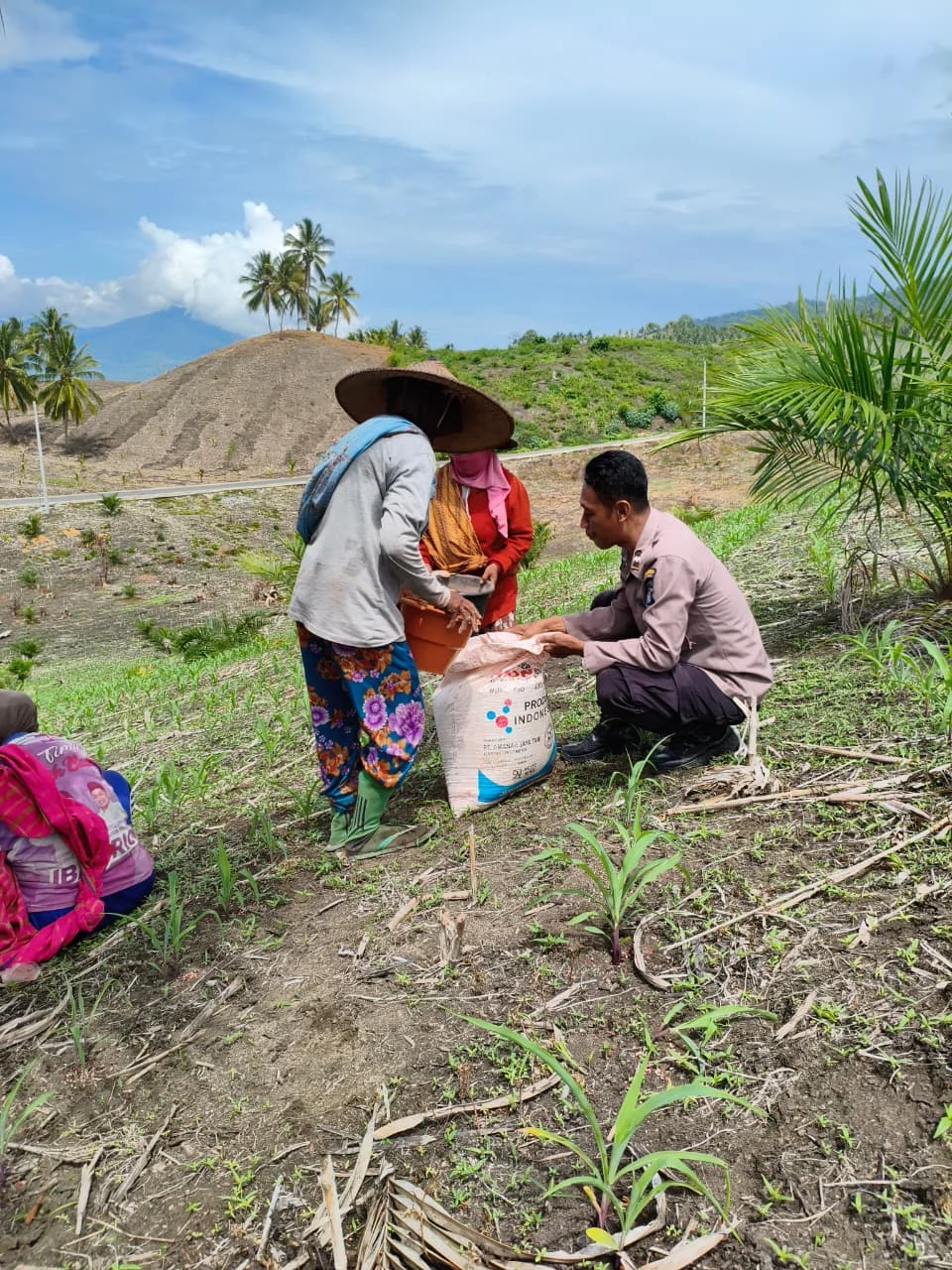 Polsek Ulubongka Kawal Program Ketahanan Pangan Melalui Pengecekan Lahan Jagung di Desa Borneang*
