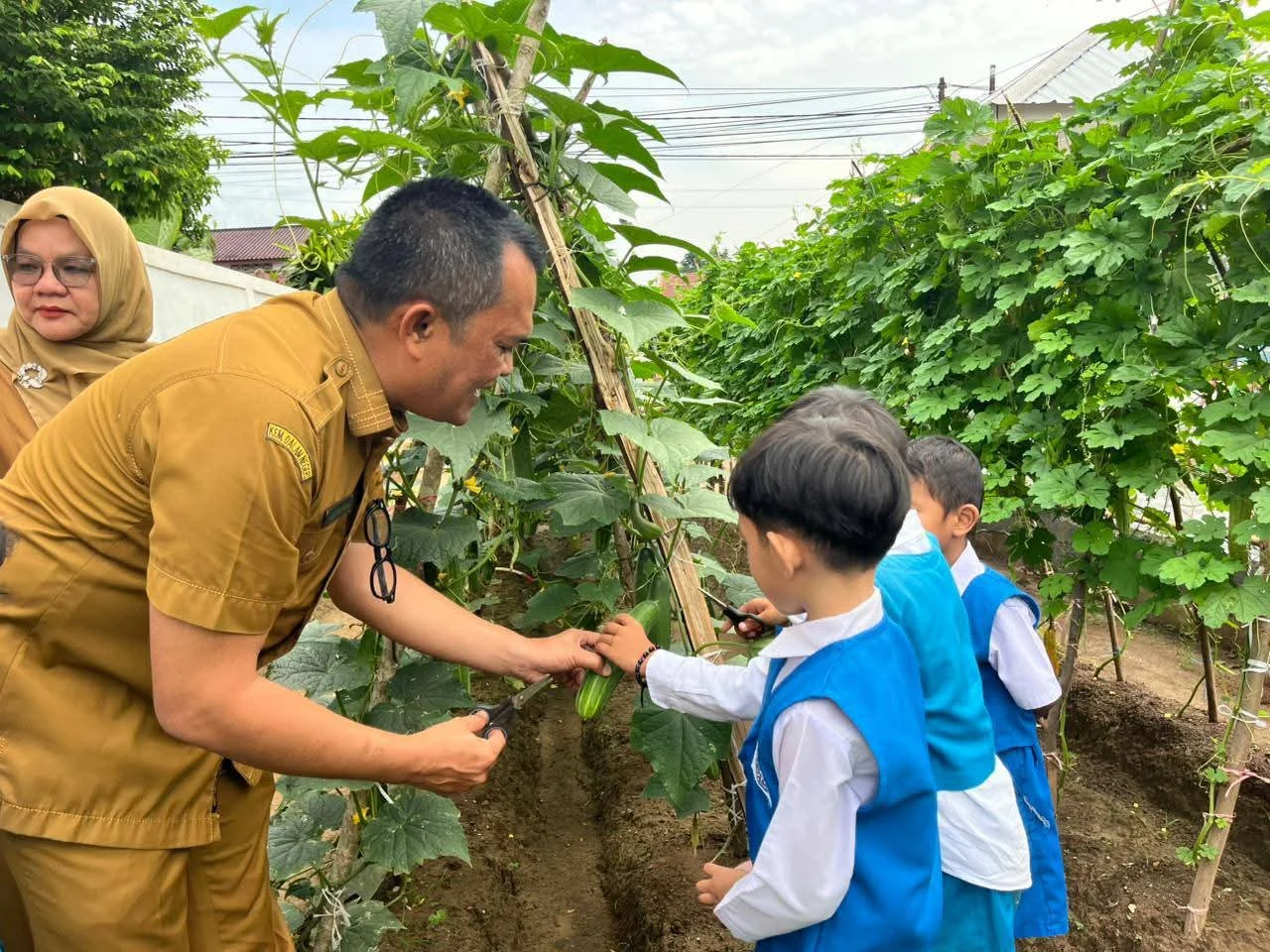 Kadisdik Kabuapten Labuhanbatu  Panen Hasil Ketahanan Pangan Bersama Guru Dan Siswa Di TK Pembina 