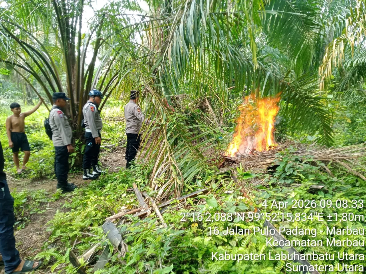 Polsek Marbau Polres Kabuapten Labuhanbatu Laksanakan Gerebek Sarang Narkoba Didesa Belungkut Kecamatan Marbau Labura. 