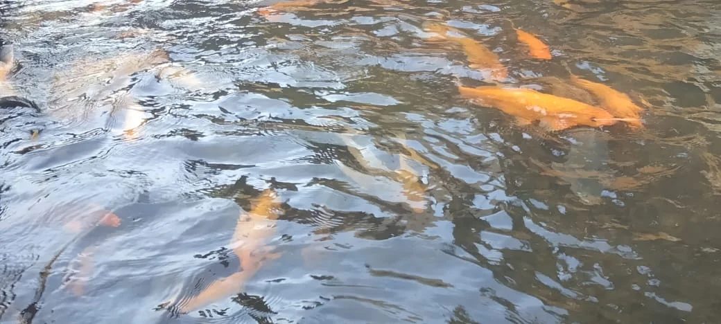 Minangkabau - Tanah Datar Info86News.Com. Perjalanan Wisata Alam, dan Melepas Penat di Wisata Banda Dareh