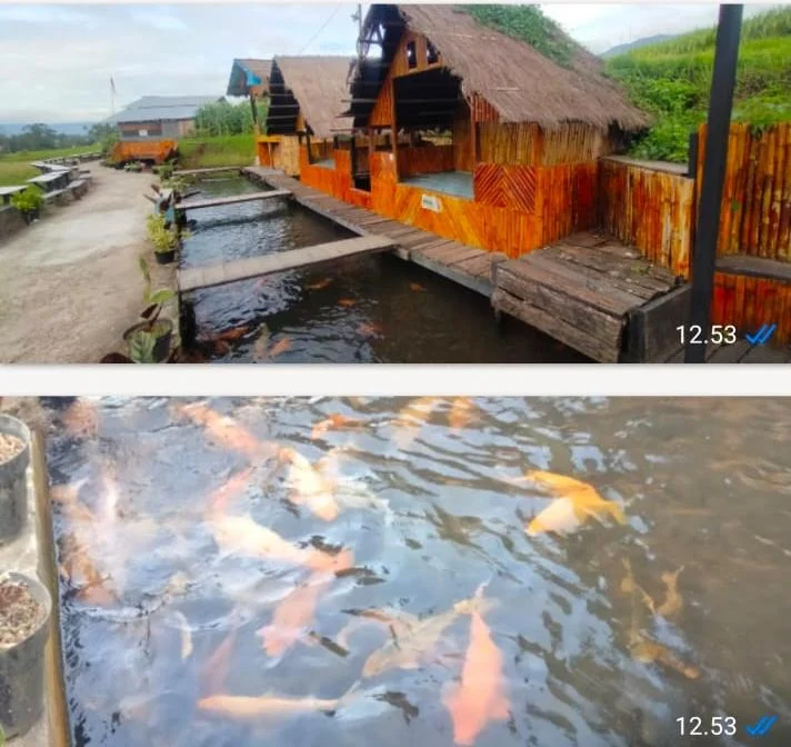 IMG-20260407-WA0080(1)