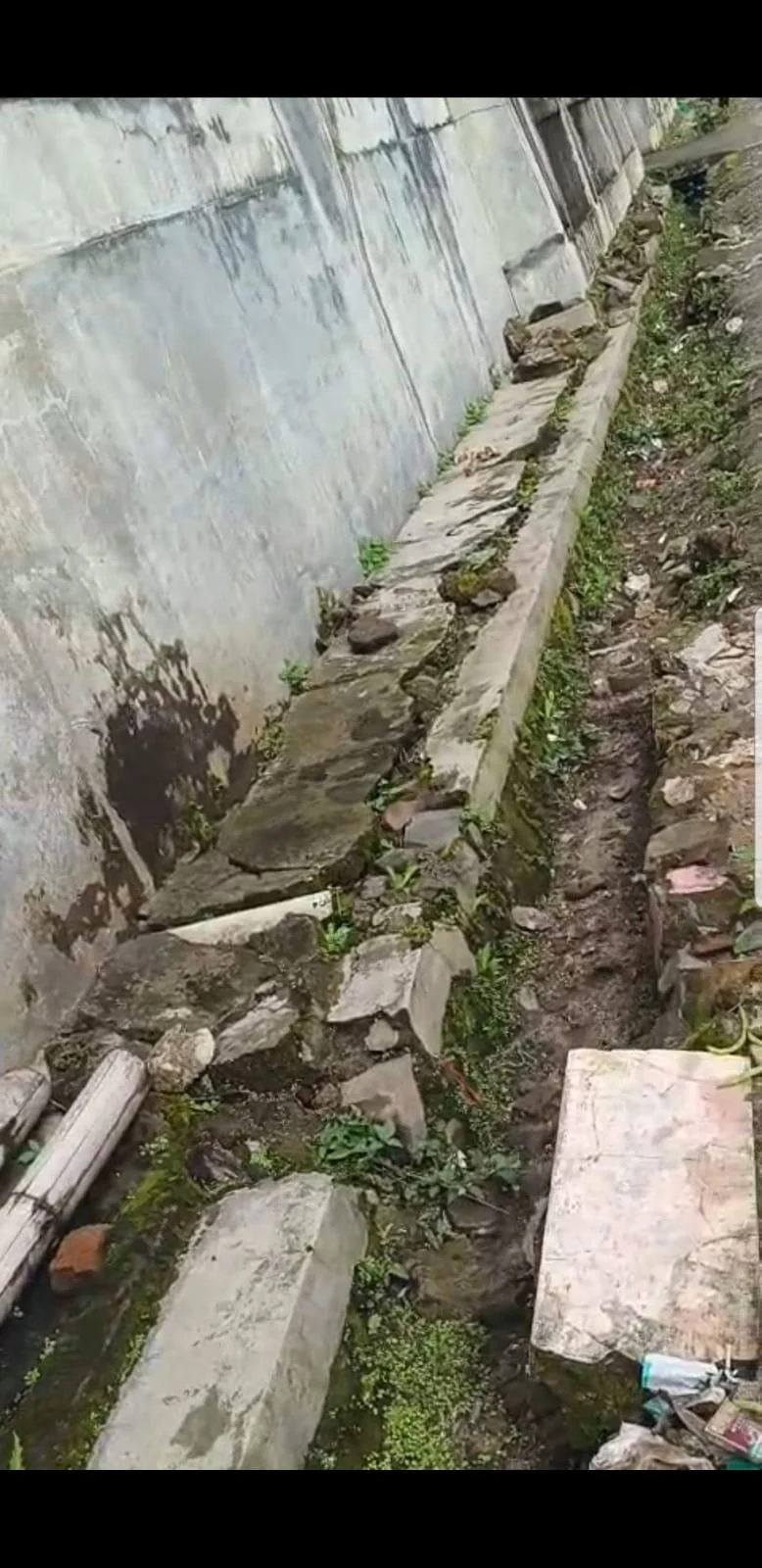 *LAPORAN MASYARAKAT: PARKIR PASAR MINGGU PAJAR BULAN MEMBUTUHKAN PENANGANAN SEGERA*
