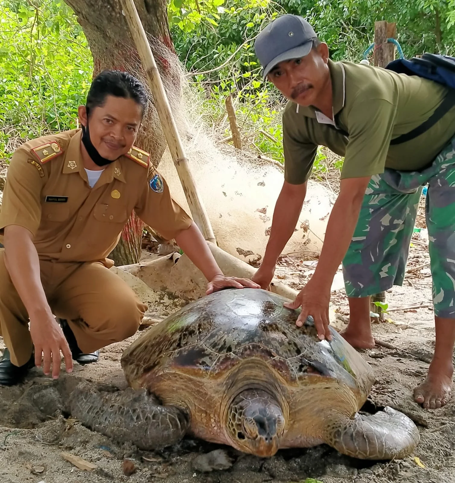Camat Sojol Drs. Saiful Bakrie, MM : Profil Kelompok   Konservasi Penyu Lentora Desa Mapane Tambu, Kec. Balaesang,⁶ Kab. Donggala, Sulteng 