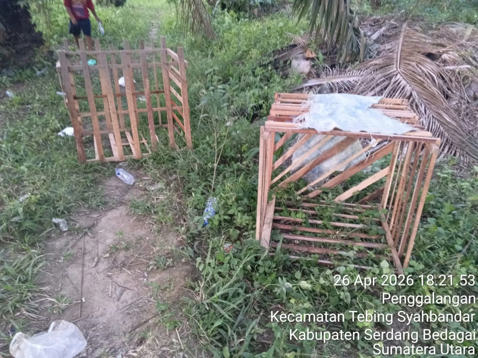 Respon Laporan Warga, Polsek Tebing Tinggi Cek Lokasi Sabung Ayam di Penggalangan