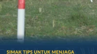 IMG-20260430-WA0076