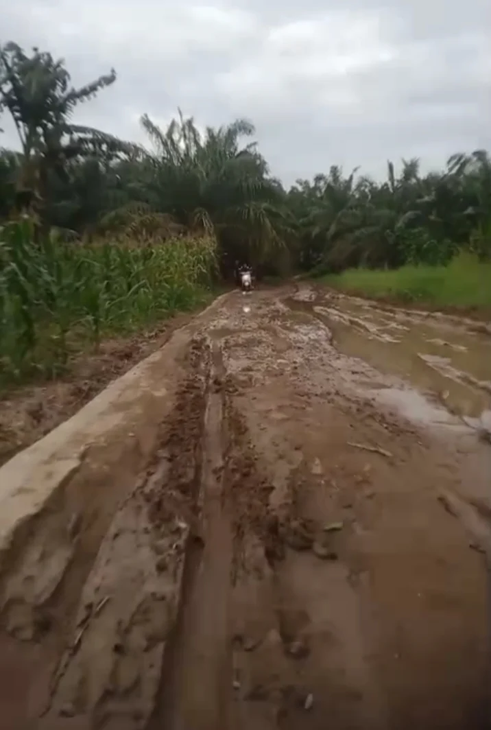 Profesor Sutan Nasomal Harapkan Presiden Intruksikan Menteri Gubernur Bupati Walikota Sesuai Status Ajak Swasta Membangun Jalan!!! 