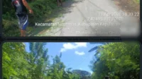 Screenshot_20260411-222206
