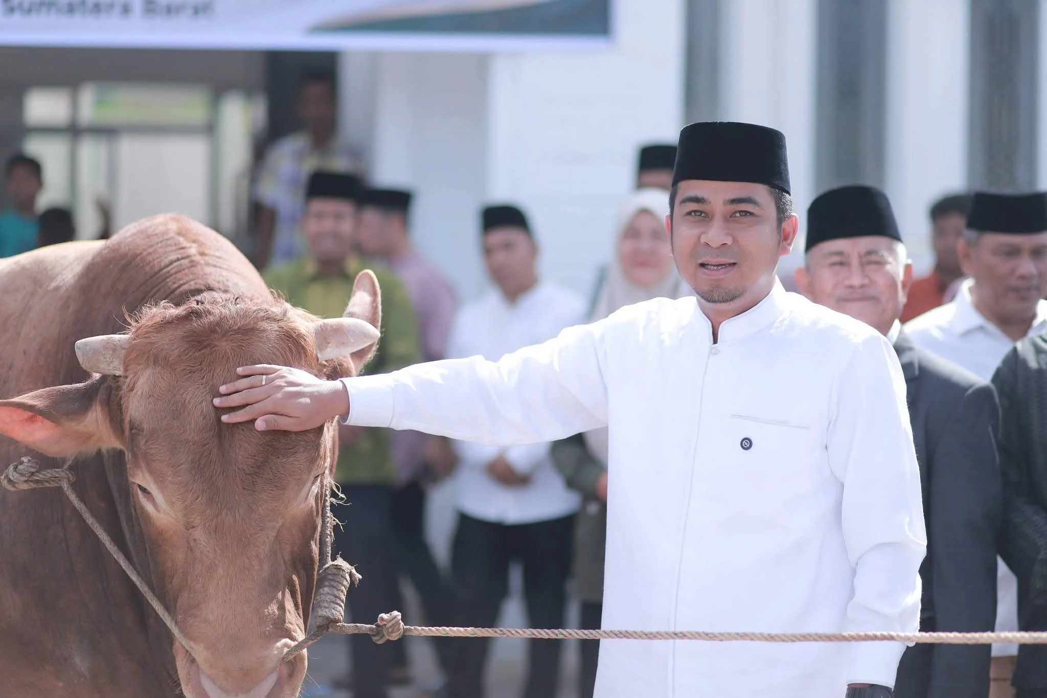 Sapi Quban Dari Presiden RI Resmi Di Serakan Wako bersama Wawako Solok Ke Masyarakat Tahun 1447H/2026M.