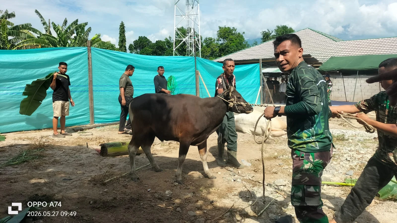 Pangdam XXIII Palaka Wira, Di Hari Raya Idul Adha 1447 H/ 2026, Berkorban Sapi 27 Ekor + 2 Ekor Kambing Untuk Berbagi Reziki Ke Panti Asuhan Dan Masyarakat Palu Sekitarnya