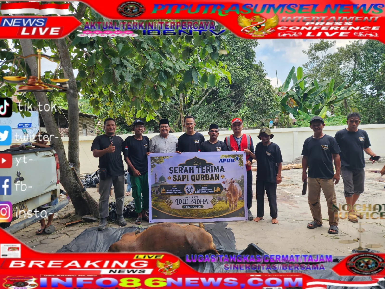 Jemaah Al-Taqwa Townste Satu PT. RAPP Koto Gasib Serahkan Satu Ekor Sapi Qurban Kepada Jemaah Mesjid Royatul Iman Pangkalan Pisang