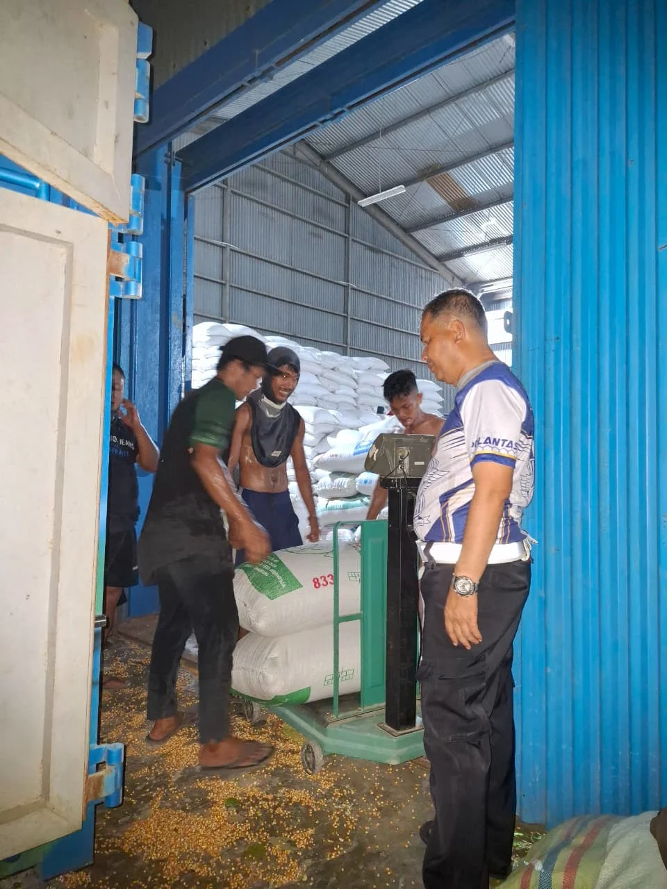 POLRES BATU BARA DUKUNG PROGRAM KETAHANAN PANGAN, TOTAL 220,039 TON JAGUNG TELAH DIDISTRIBUSIKAN KE BULOG ASAHAN .
