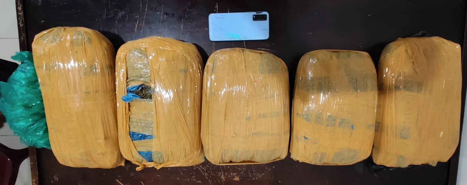 Sat Narkoba Polres Tapanuli Selatan (Tapsel) Berhasil Gagalkan Dugaan Peredaran Narkotika Jenis Ganja Seberat 5 Kg di Kecamatan Batang Angkola.