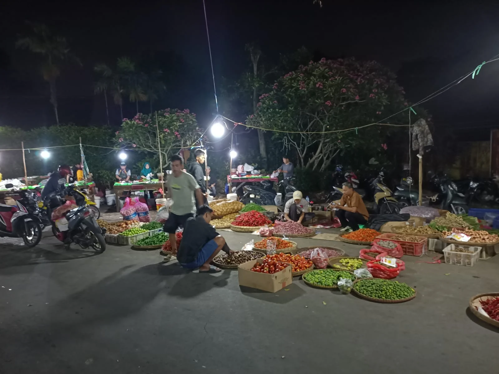 Profesor Sutan Nasomal Klem Ekonomi Mangkrak Lapor Pak Prabowo Tolong Presiden Rakyat Terancam Lapar Dimana Mana!!