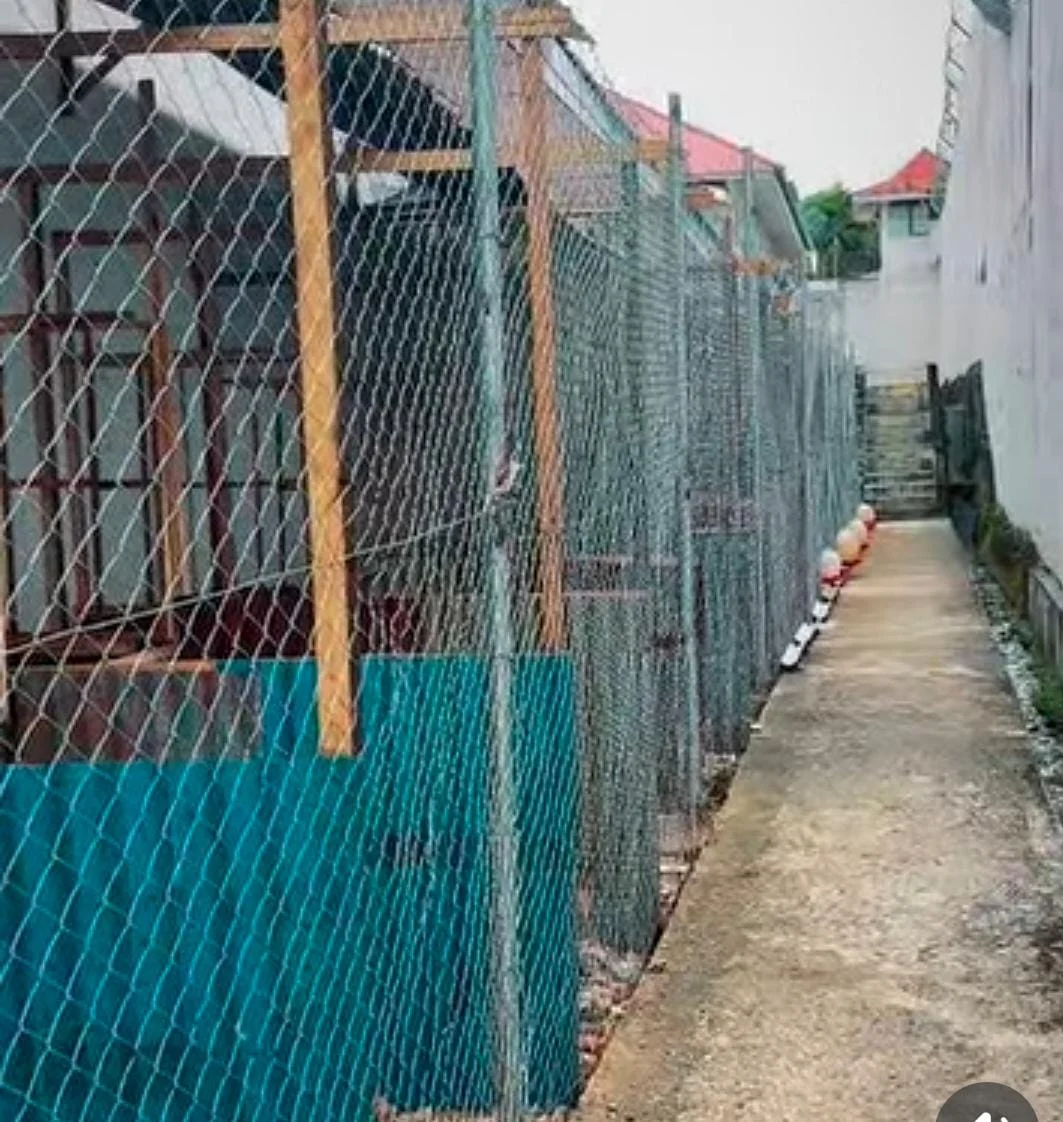 Lapas Solok Perkuat Ketahanan Pangan, Kandang Indukan Ayam Terus Dikembangkan Demi Kemandirian Telur Fertil