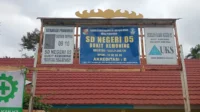 IMG-20260811-WA0090