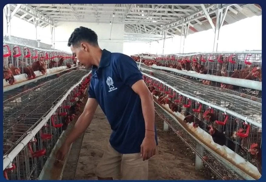 Dari Kandang, Tumbuh Harapan: Warga Binaan Lapas Solok Tekun Kembangkan Ayam Petelur