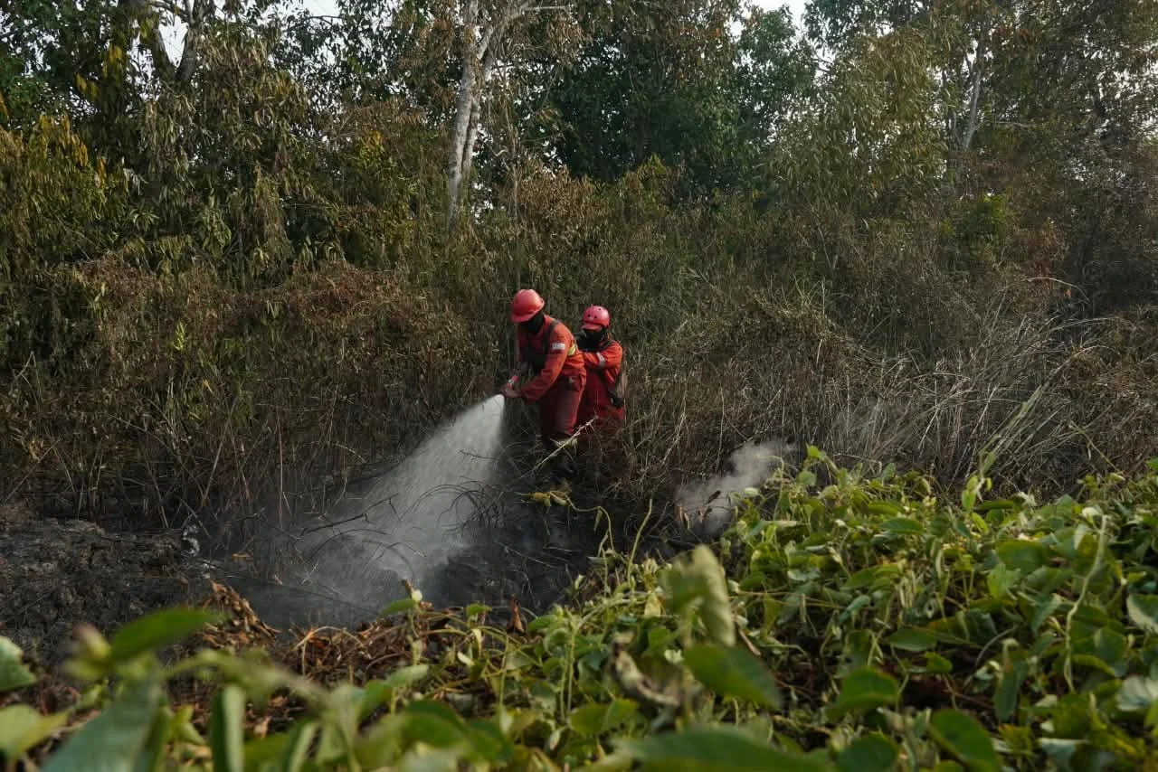 Menhut dan BNPB Tinjau Karhutla di OKI, Sinergi Penanganan Diperkuat

