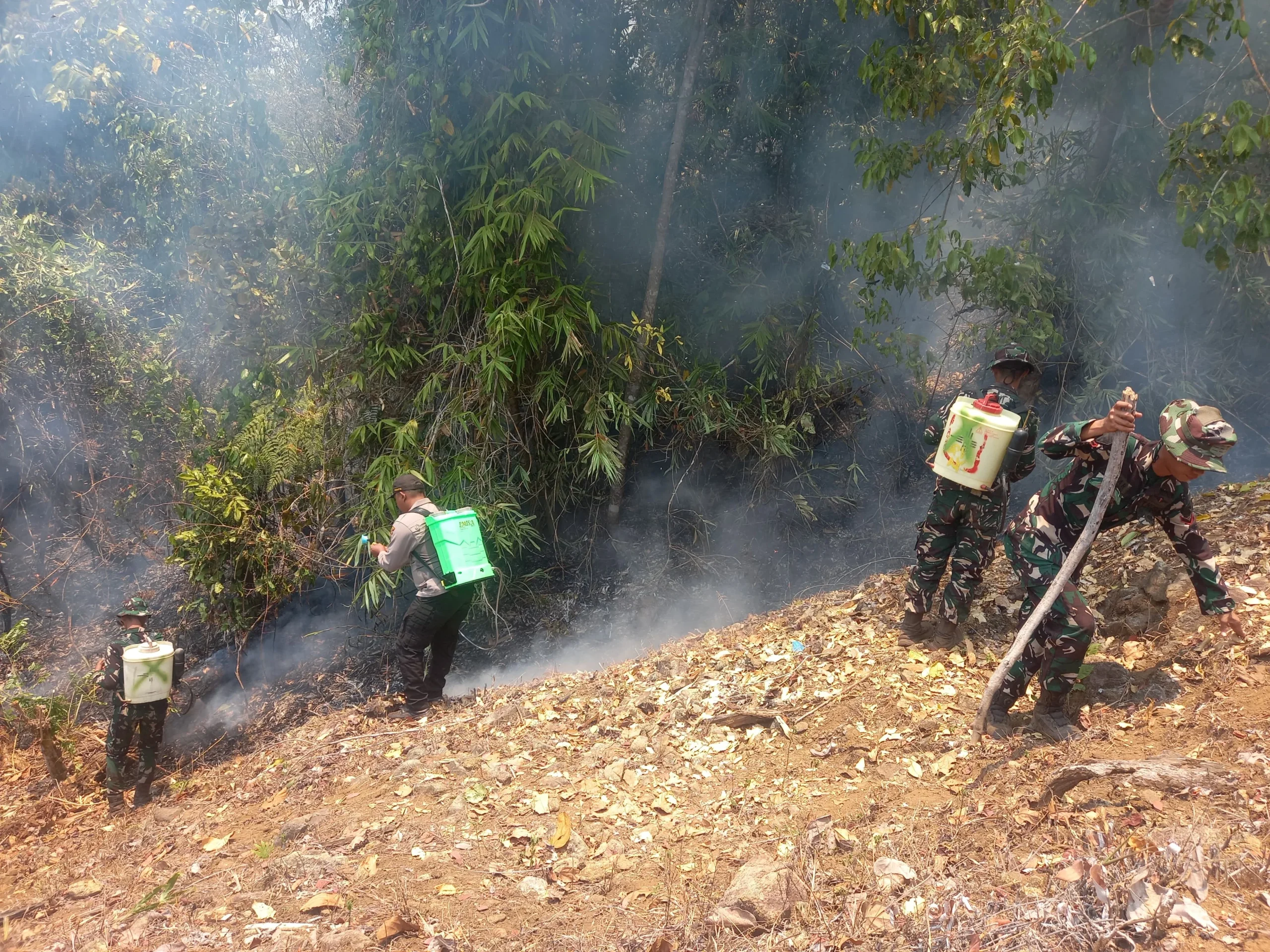 *Karhutla di Padang Tumbuo, Api Bakar Sekitar 10 Hektare Lahan*
