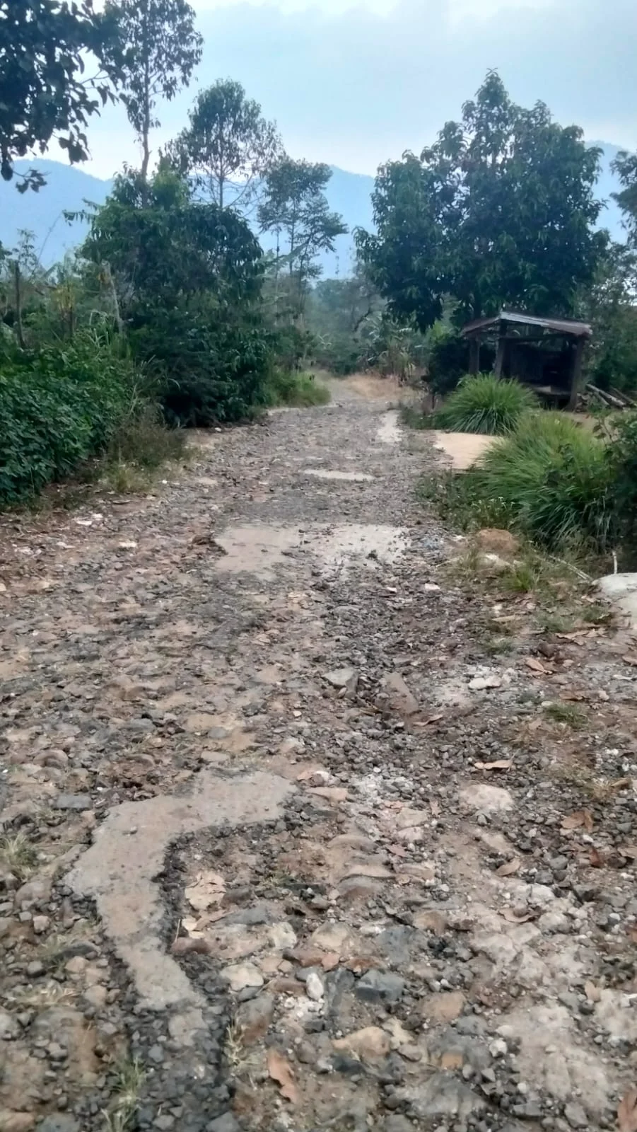 Jalan Utama Pemangku Talang Kinjar Rusak Parah, Warga Harapkan Perhatian Pemkab Lampung Barat.
