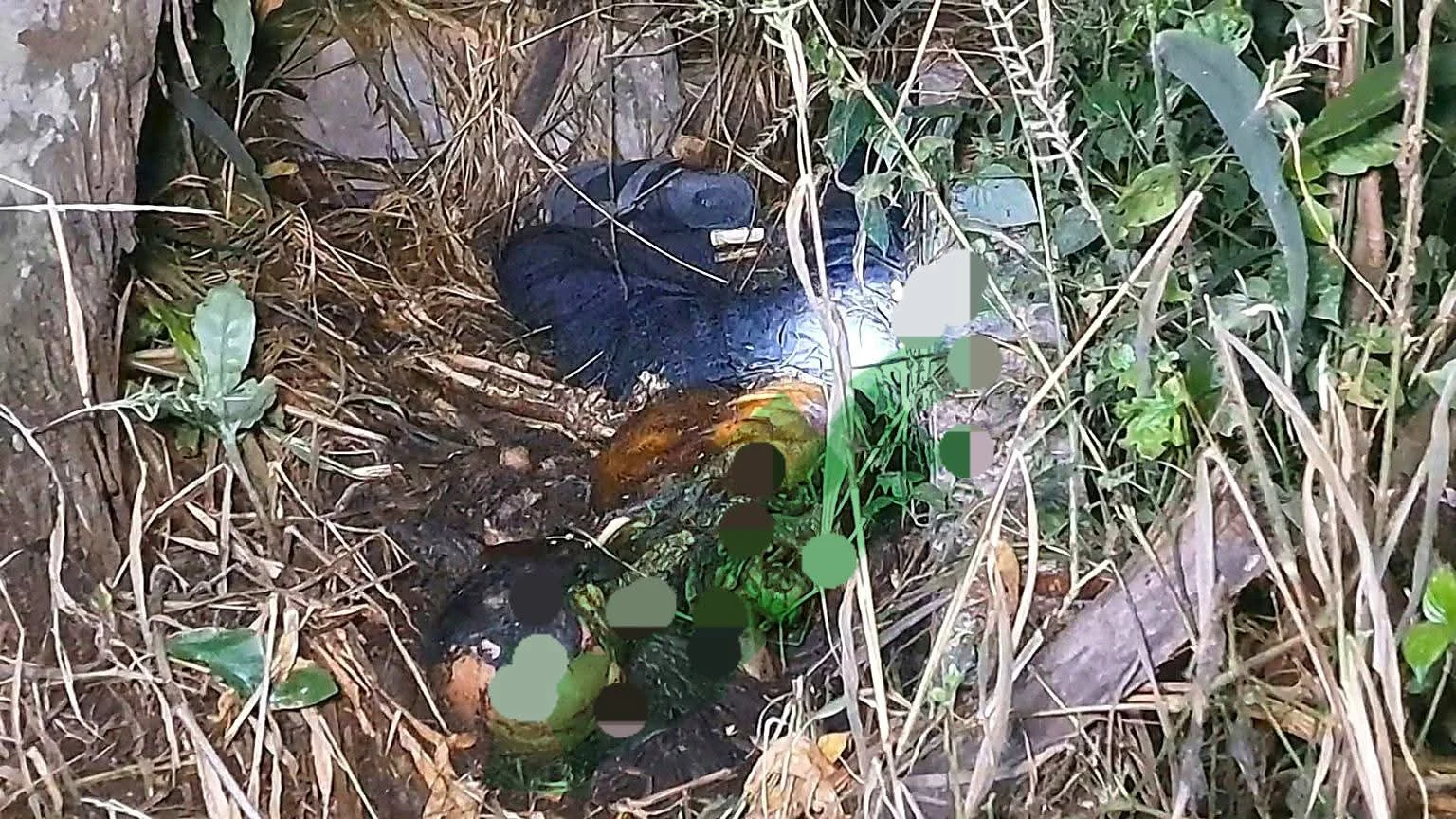 Hilang 11 Hari. Uden Cantik Saragih Ditemukan Meninggal Dunia di Pemakaman Umum Jalan Ahmad Yani 