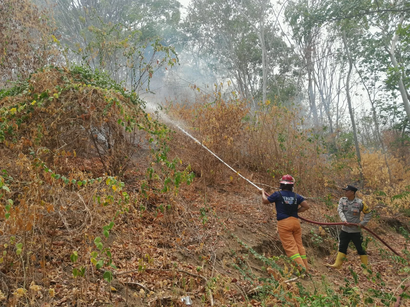 *Karhutla 5 Hektar di Ulubongka Touna, Kapolsek Sebut Medan Terjal Kendalikan Pemadaman*
