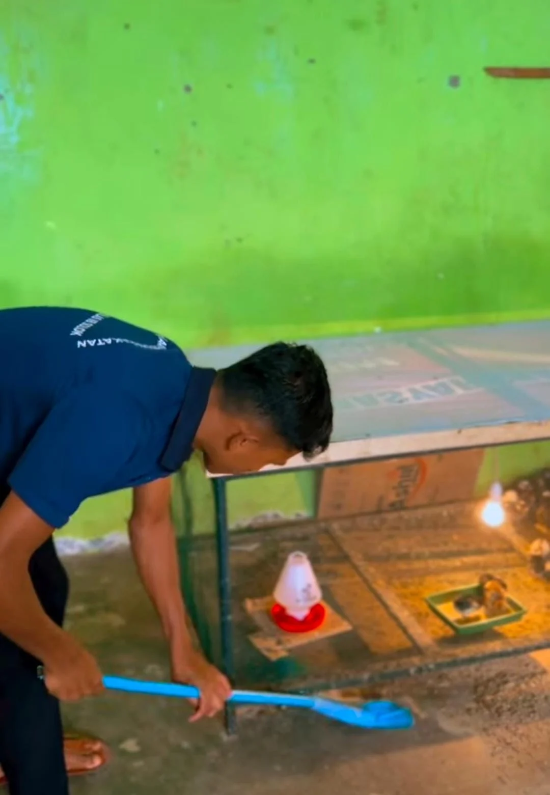 Dari Balik Jeruji Menuju Kemandirian, Lapas Solok Bekali Warga Binaan Keterampilan Beternak Ayam Petelur