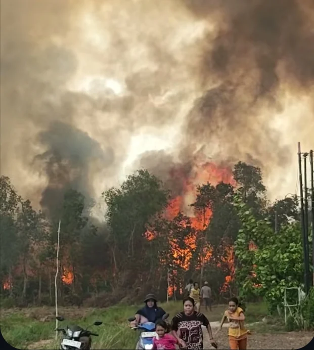 Prof DR Sutan Nasomal : Ini Bencana Nasional. Masyarakat Indonesia Meminta Bantuan PBB dan Negara Manapun Menghentikan Kebakaran Hutan